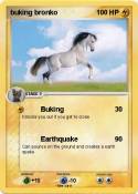 buking bronko
