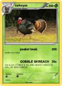 turkeyus