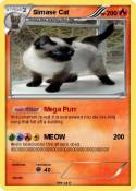 Simase Cat