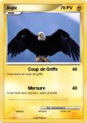 Aigle