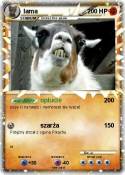 lama