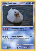 Withe Duck
