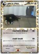 gaia le chien
