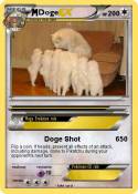 Doge