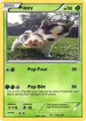 Puppy