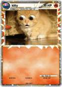 kitty