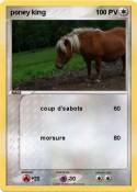 poney king