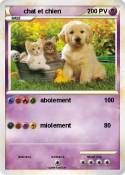 chat et chien