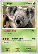 Koala