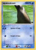 aquaboulevard