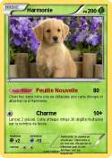Harmonie