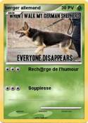 berger allemand