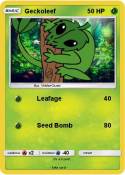 Geckoleef