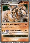 lionceau