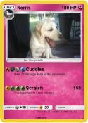 Norris