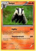 Badger