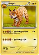 Swiper
