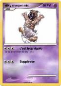 silky sharpei