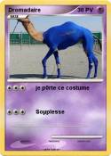 Dromadaire
