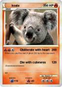 koala