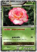 fleur
