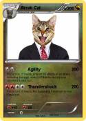 Break Cat