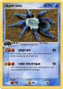migale bleu