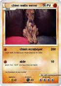 chien watts