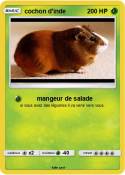 cochon d'inde