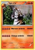 Tigre d'or
