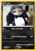 cat in suit