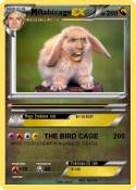 Rabicage