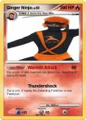 Ginger Ninja