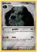 gribouille