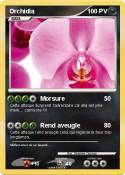 Orchidia