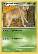 berger malinois