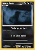 pauvre Toube
