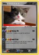 kitty