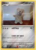 TEDDY