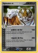 tigroume ex