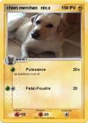 chien merchan