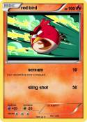 red bird