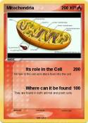 Mitochondria