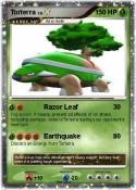 Torterra