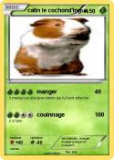 calin le cochon