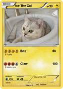 Ice The Cat