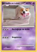 am'staffie en