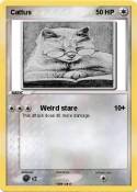 Cattus