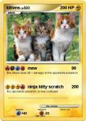 kittens