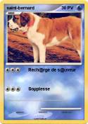 saint-bernard